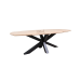 Exquisite Danish Oval & Spider table: The elegance of oak combined with the durability of metal