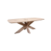 Elegant oak table Danish Oval 200*100 with Spider Leg and Swiss edge from Blick