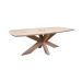 Elegant oak table Danish Oval 200*100 with Spider Leg and Swiss edge from Blick