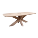 Elegant oak table Danish Oval 200*100 with Spider Leg and Swiss edge from Blick