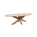 Natural oak table Oval Almond 220100 & Spider legs 12060 - Aesthetics and Reliability from Blick