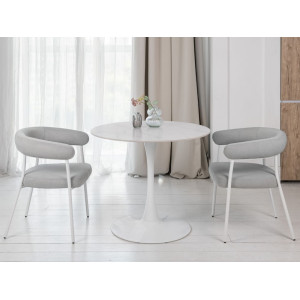 Стіл обідній T-325 каса вайт + білий