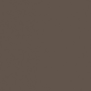 Chipboard Egger Truffle brown U748 ST9 2800 * 2070 * 18