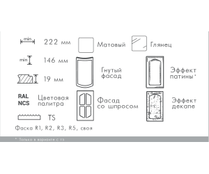 Primer Winner & Purple Top Matt 