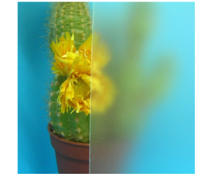 Satin glass colorless 1000*1000 4 mm 