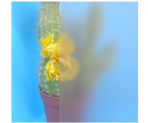 Satin Bronze glass 1000*1000 4 mm 