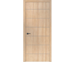 Двери межкомнатные  ForRest  08 Ash Grey & Silver цельно щитовые 