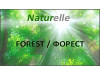 Mattress FOREST / FOREST