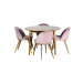 Set Table Adam ash lacquer D110/190 chairs Mars 4 pcs. ash lacquer & almeri pink, dining, kitchen, folding, table and chairs