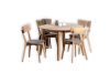 Table Casanova 110/160 ash lacquer and Dalas chairs 4 pcs. ash soft gray, dining, kitchen, folding, table and chairs