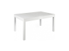 Table Model 11015070 white ash