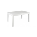 Table Model 11015070 white ash