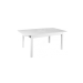 Table Model 11015070 white ash