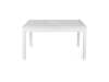 Table Model 11015070 white ash