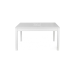 Table Model 11015070 white ash